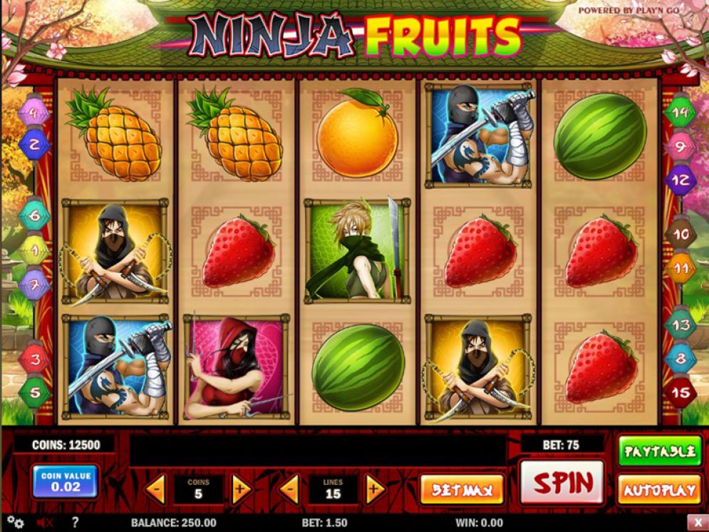 Ninja Fruits Gameplay